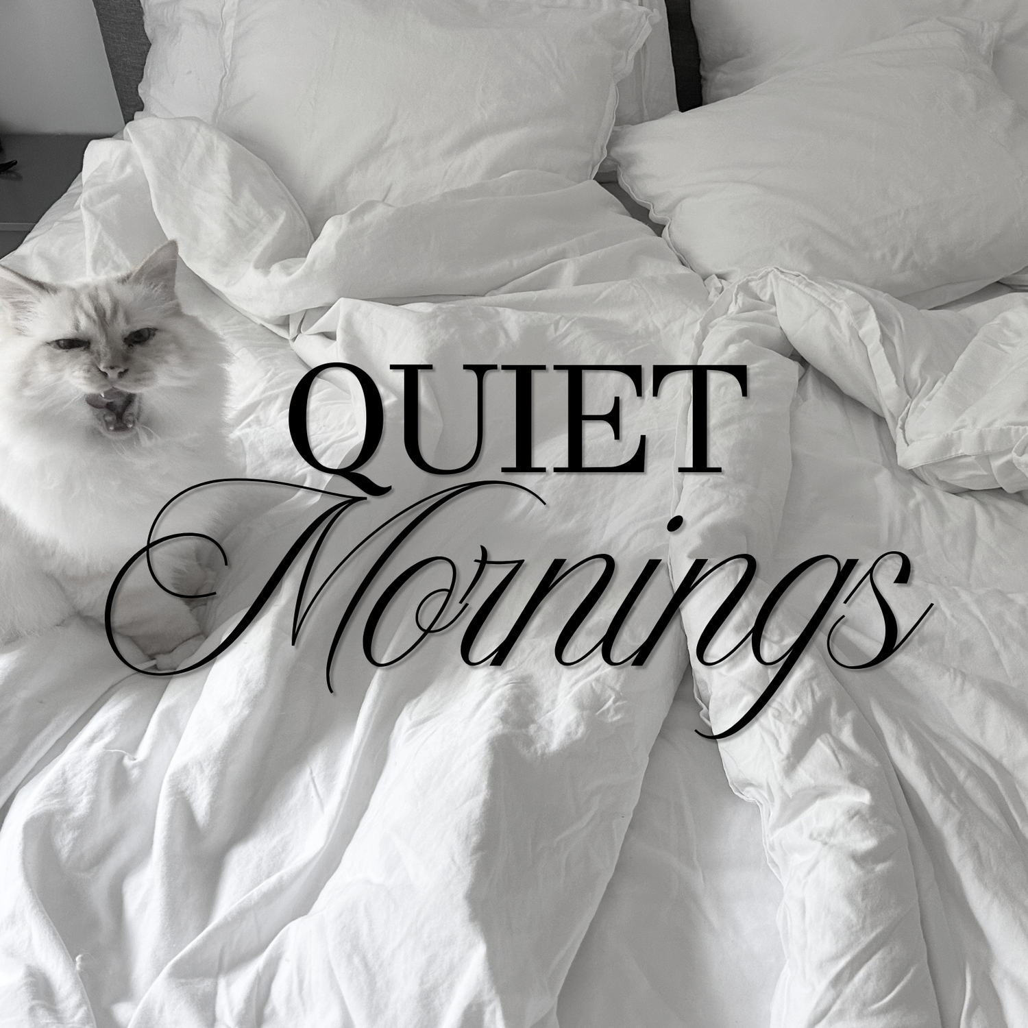 Quiet Mornings